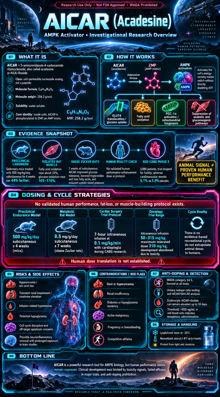 AICAR research infographic