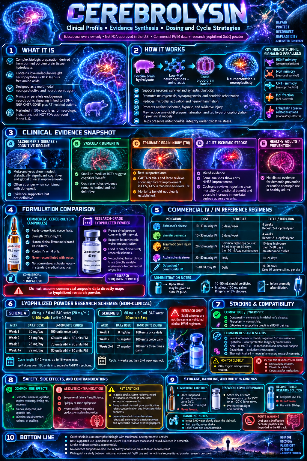 Cerebrolysin research infographic