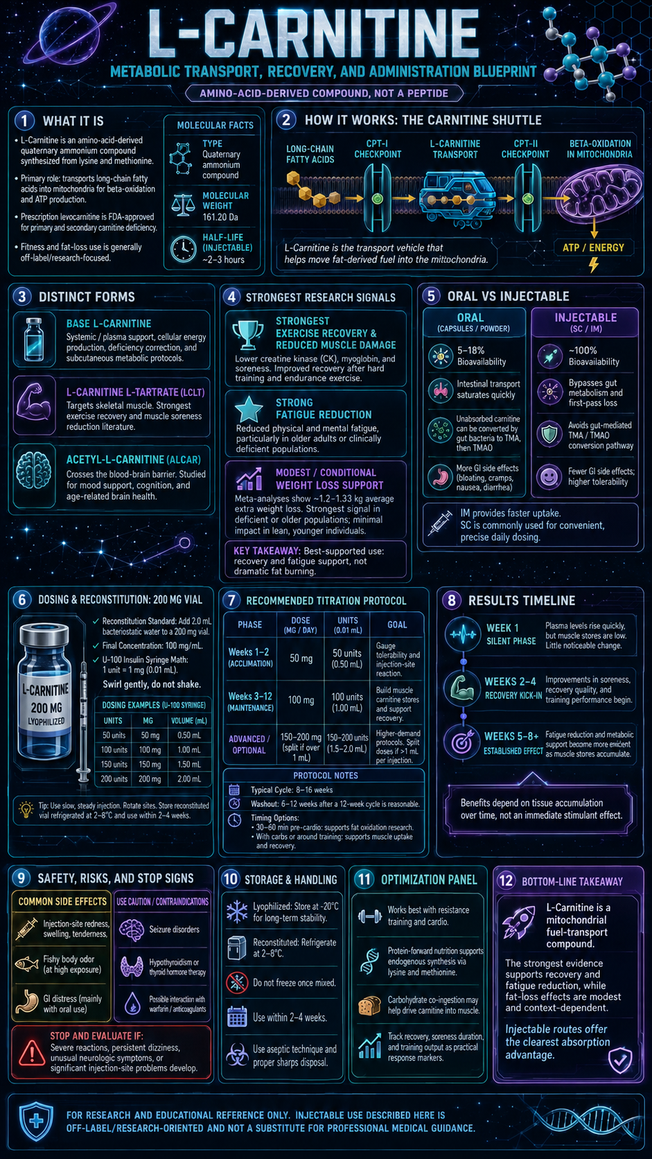 L-Carnitine research infographic