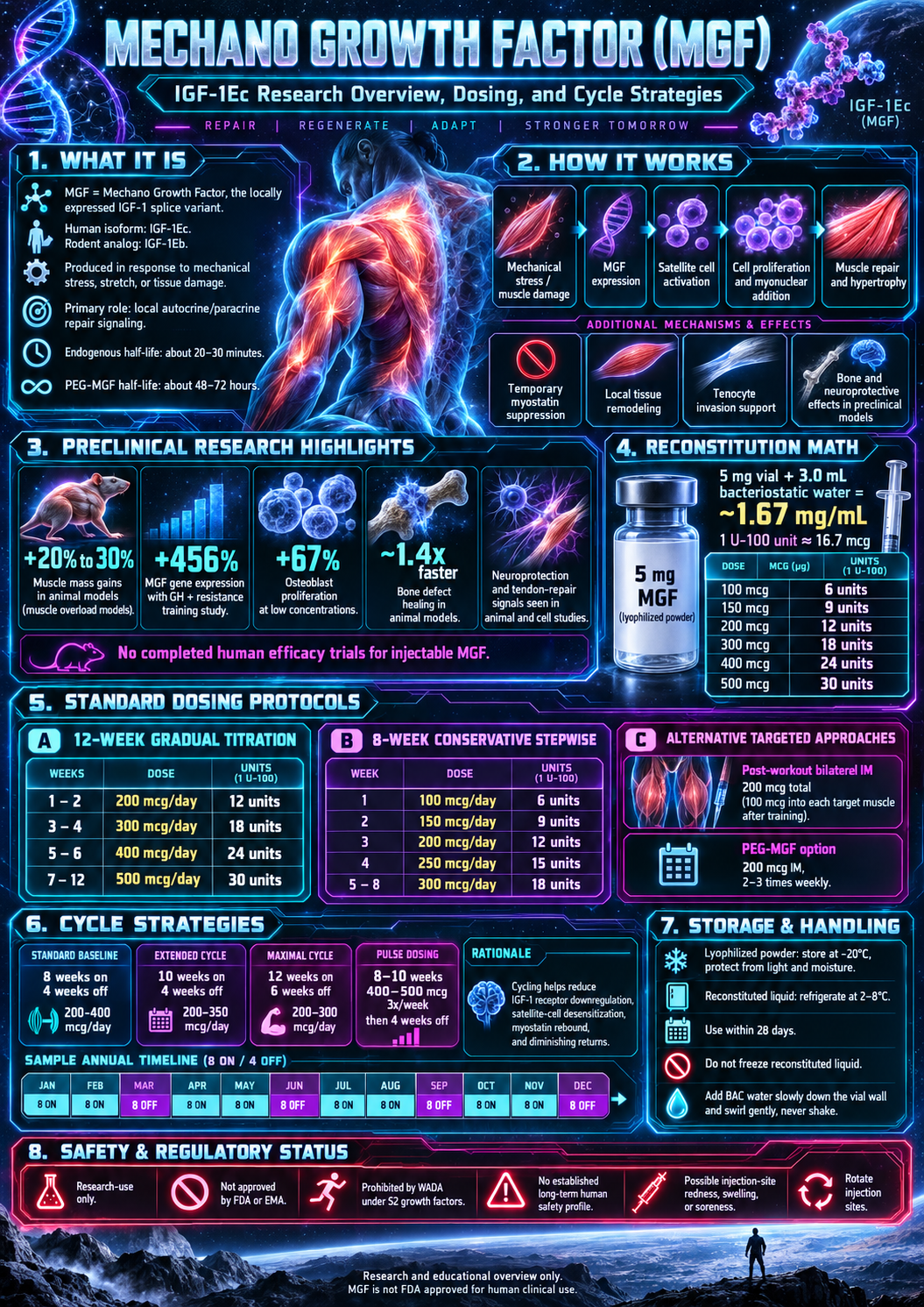 Mechano Growth Factor (MGF) research infographic