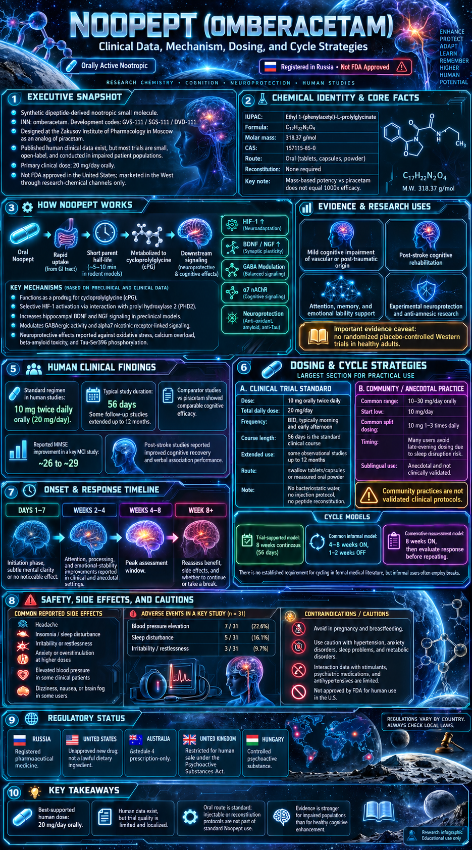 Noopept research infographic