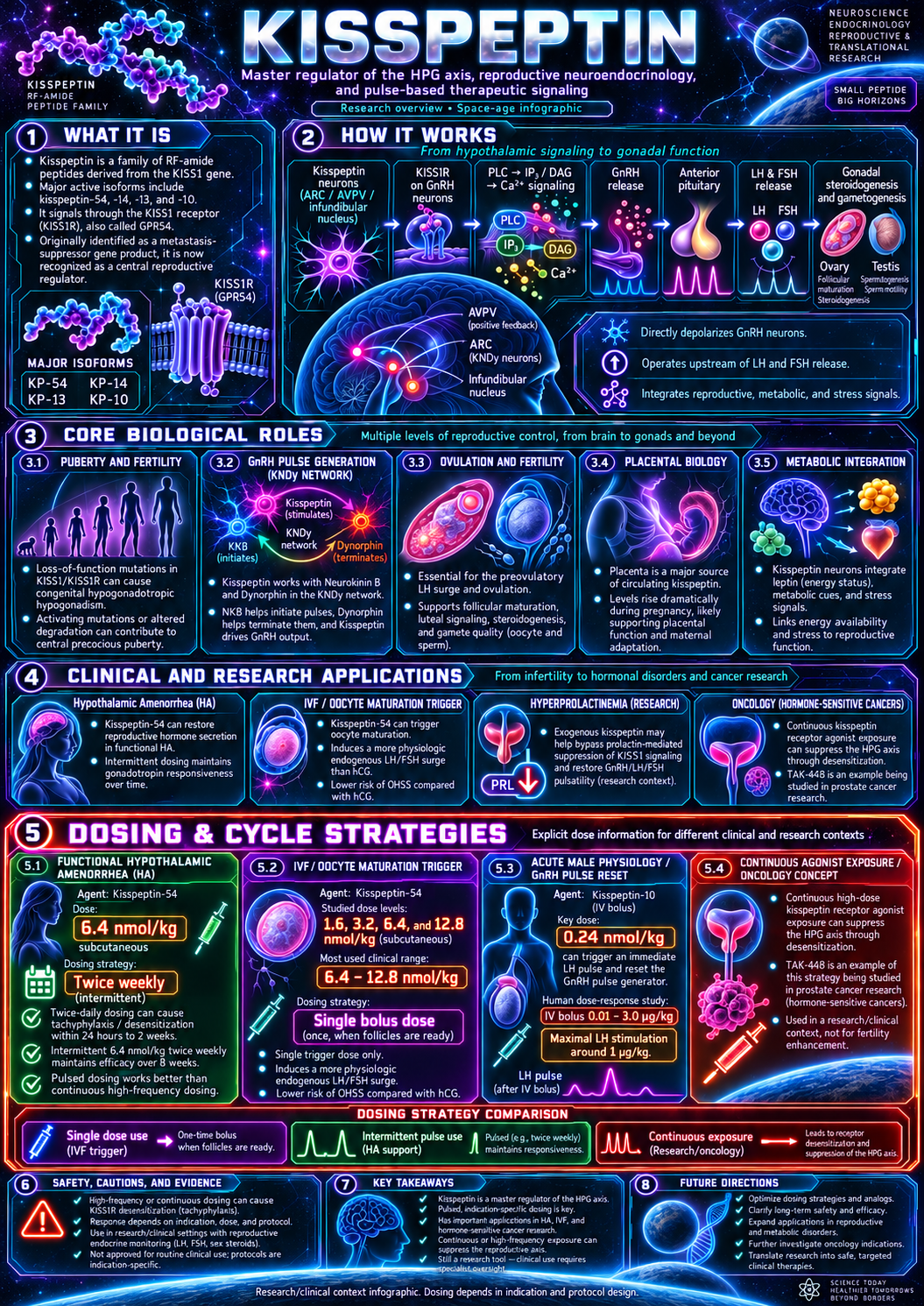 Kisspeptin research infographic