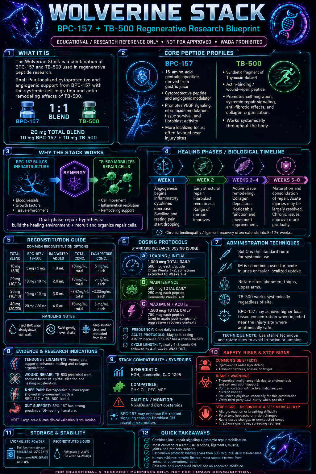 BPC-157/TB-500 (Wolverine)Blend research infographic